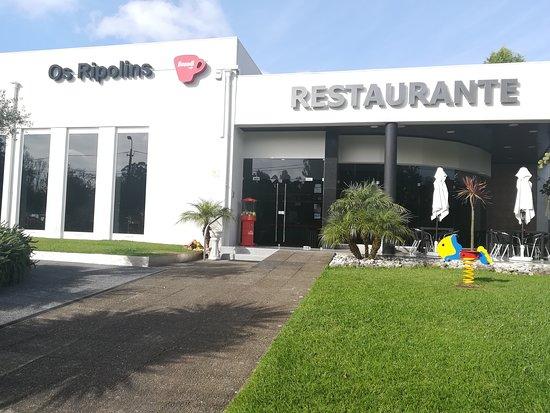 Ripolins