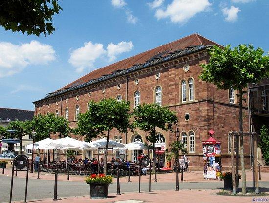 Eisbar Fruchthalle