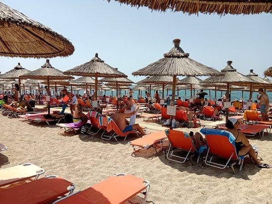 Mango Beach Bar