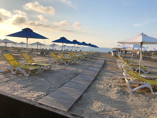 Harbour Beach Bar