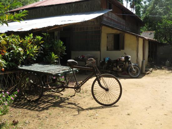 Gan Garden Restaurant