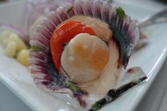El Cevichano
