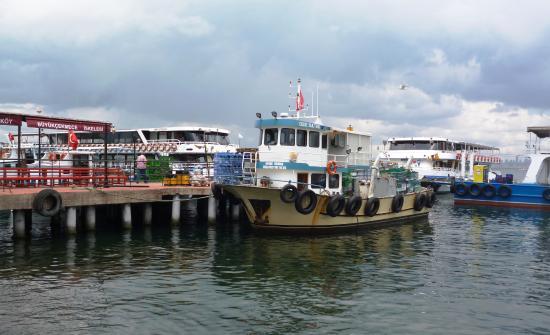 Kosem Et ve Balik Lokantasi