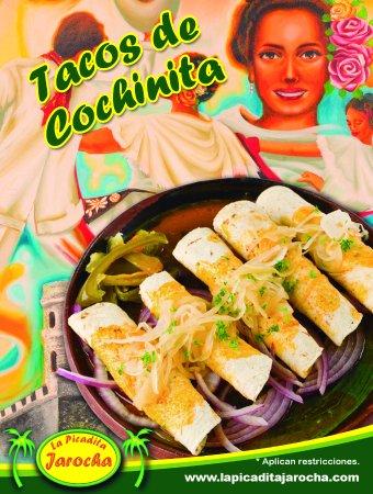 La Picadita Jarocha