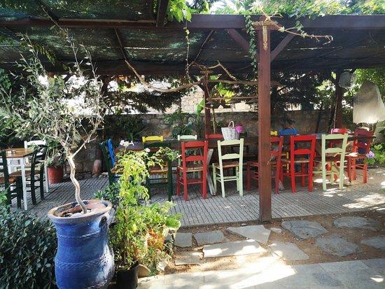 Stilvi Cafe