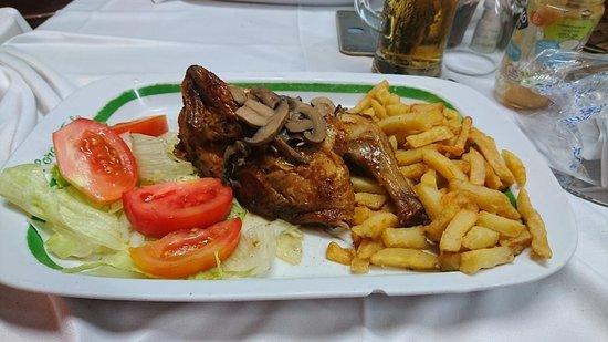 El Loro Verde