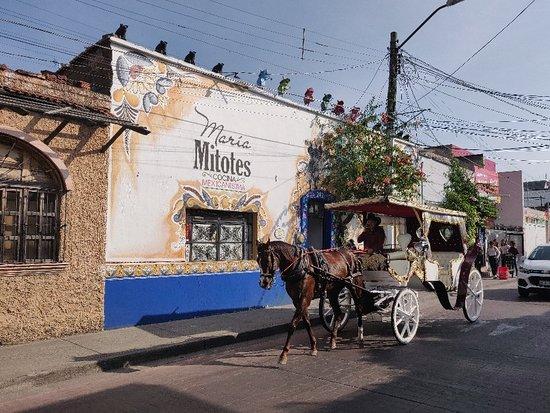 Maria Mitotes