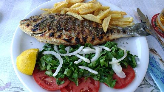 Taverna Kohili