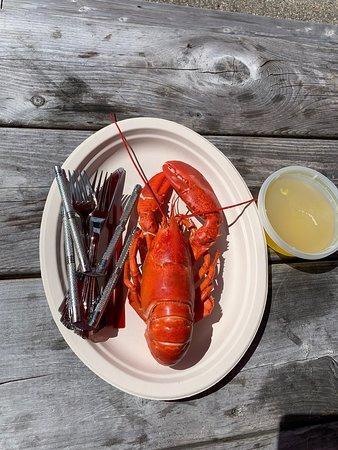 Maine Lobster Outlet