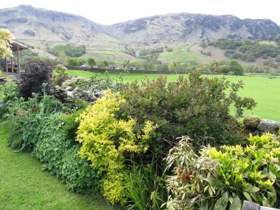 The Flock In Tearoom