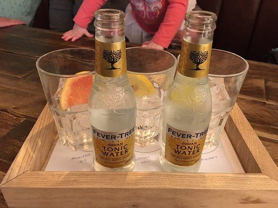 The Dog and Partridge