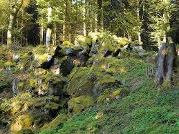 Volcanic Eifel Nature Park