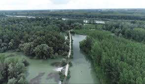 Žitný ostrov