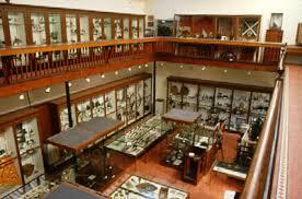 The Stewartry Museum