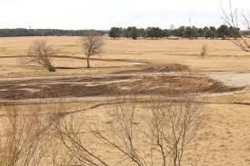 Sudliche Frottmaninger Heide