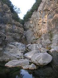 Borró