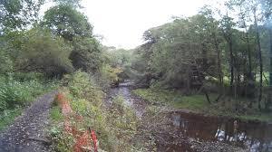 Brock Bottoms Picnic Site