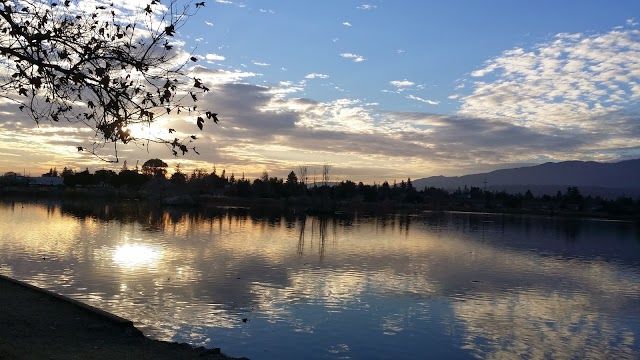 Los Gatos Creek County Park