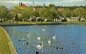 Lillfjarden