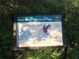Maze Park Nature Reserve