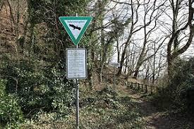 Naturschutzgebiet Ruhrsteilhänge Hohensyburg