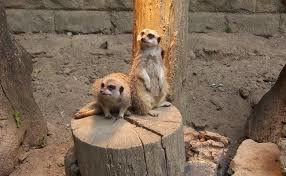 Halberstadt Zoo