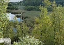 Parc Naturel Regional Scarpe-Escaut