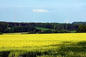 Baumberge