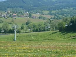 Javorník