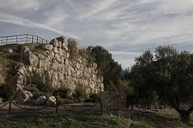 Cerro Miguelico