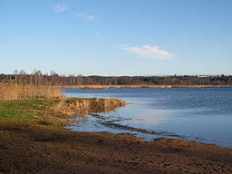 Kroppkarrsjon