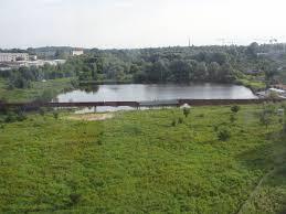 Wuhleteich
