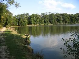 Etang de la Loy