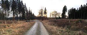 Jagd-Berg