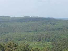 Gickel