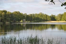 Glänninge sjö
