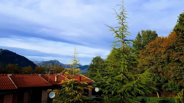 Regional Park Roccamonfina