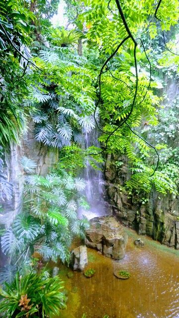Museo Natural de Ciencias Naturales