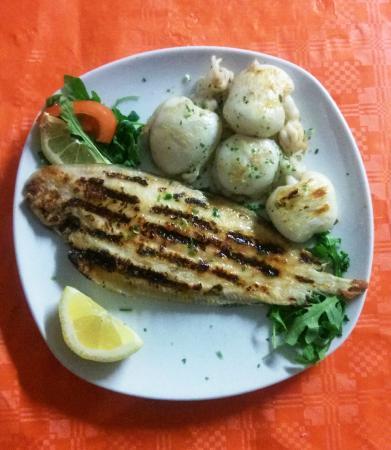 Bar Trattoria al Pescatore