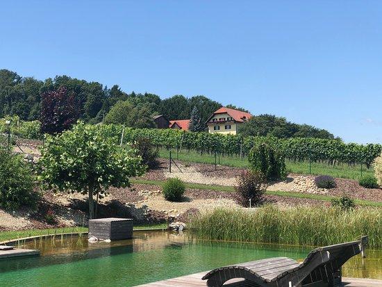 Weingut Pilch