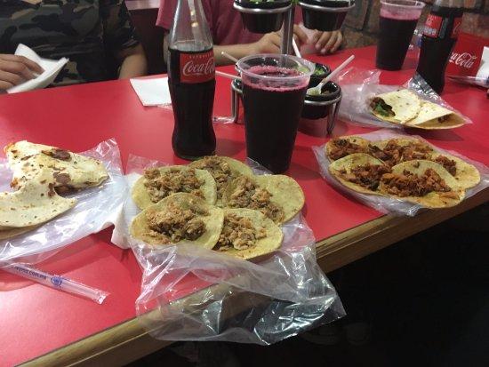 Noches de Lechon