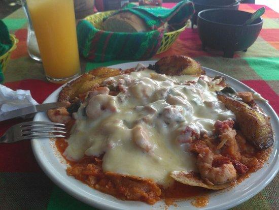 Campo Mar