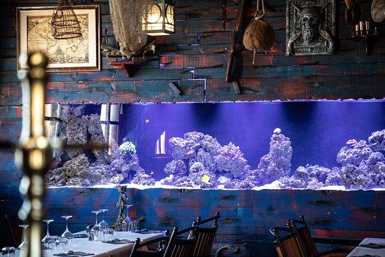 Restaurant O'Pirata
