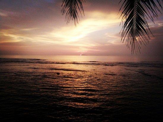 Padma Beach Cafe & Resto