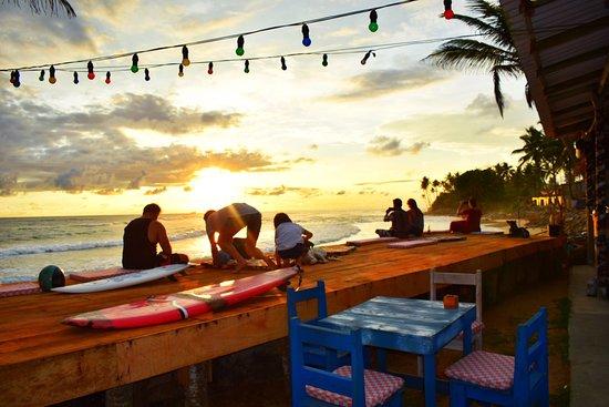 Follow the White Rabbit