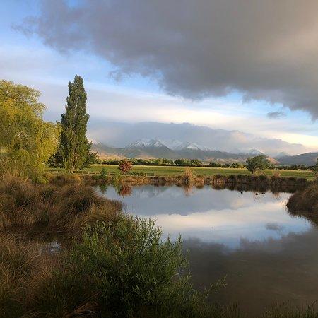 Sweet Moos Ice Cream Parlour