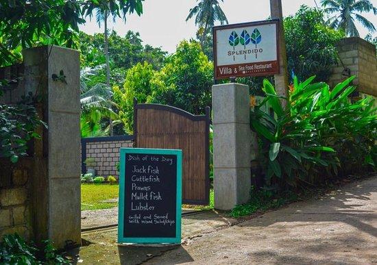 Splendido Sea Food Restaurant & Villa