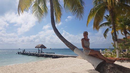 Velavento Beach Club