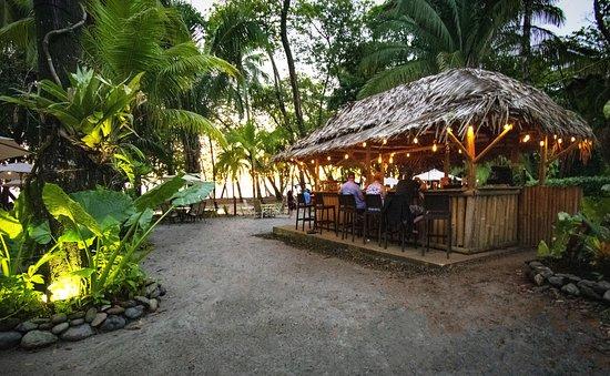 Buena Vista Beach Club Bar & Grill