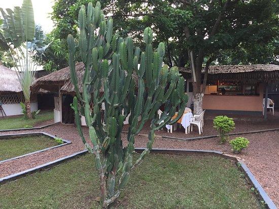 Jardin D'Afrik